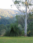 View North from Verandah